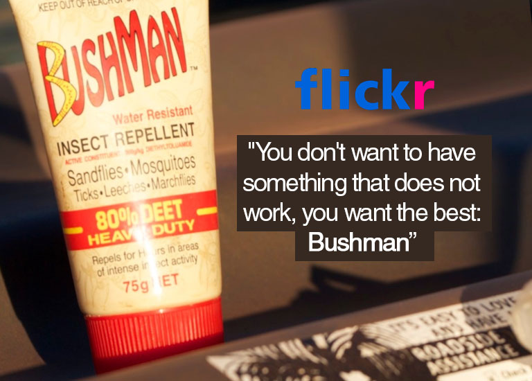 Flickr: You want the best: Bushman - review