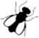 Fly Repellent Icon